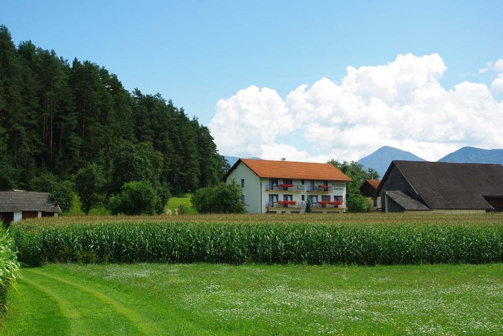 Pension Hribernig Sankt Primus Bagian luar foto